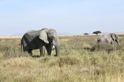 DSC_3846 (Large).JPG